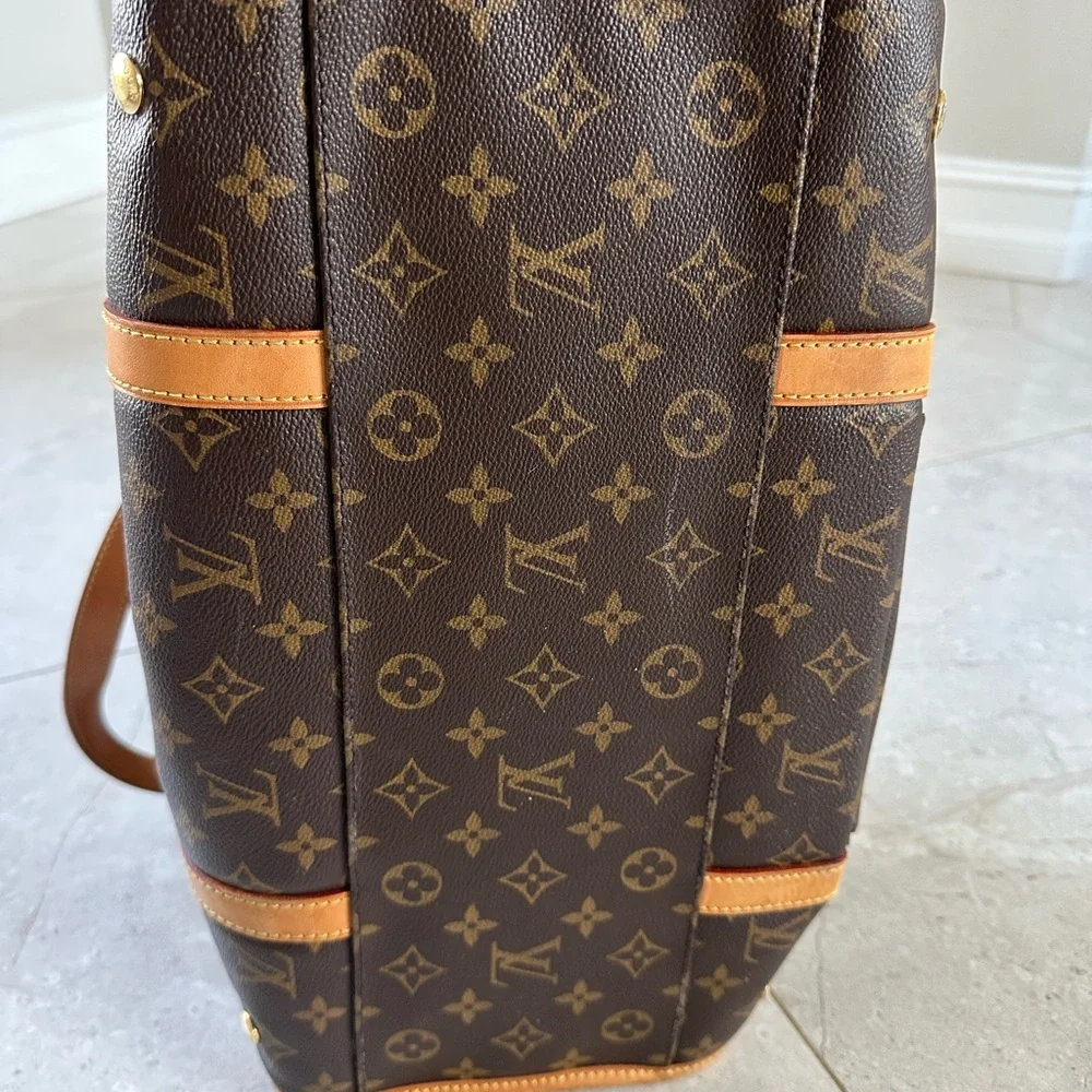 Louis Vuitton Brown Monogram Handbag